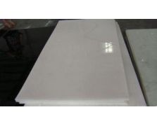 原裝進口PVDF闆廠家